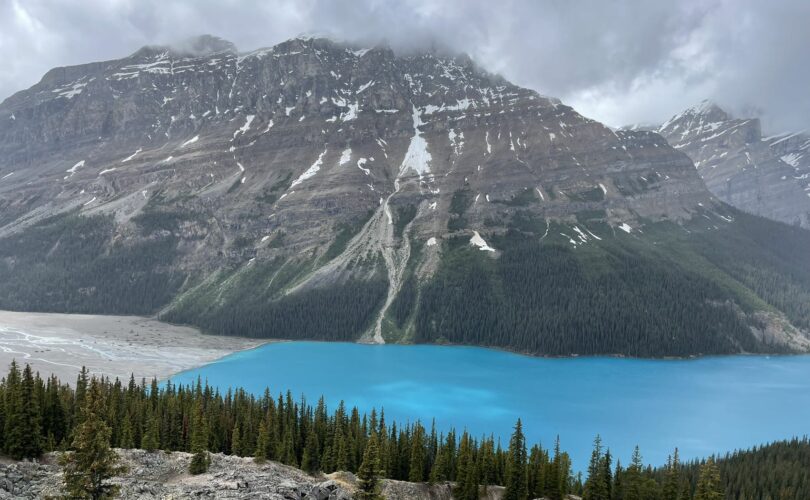 Overview of Canadian immigration programs